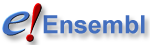 ENSG00000141510